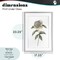 Stupell Industries Camellia Flower Illustration Framed Print Under Glass, design by Cecilia Battaini